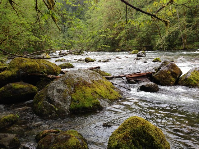 Twin Falls May PS (6)