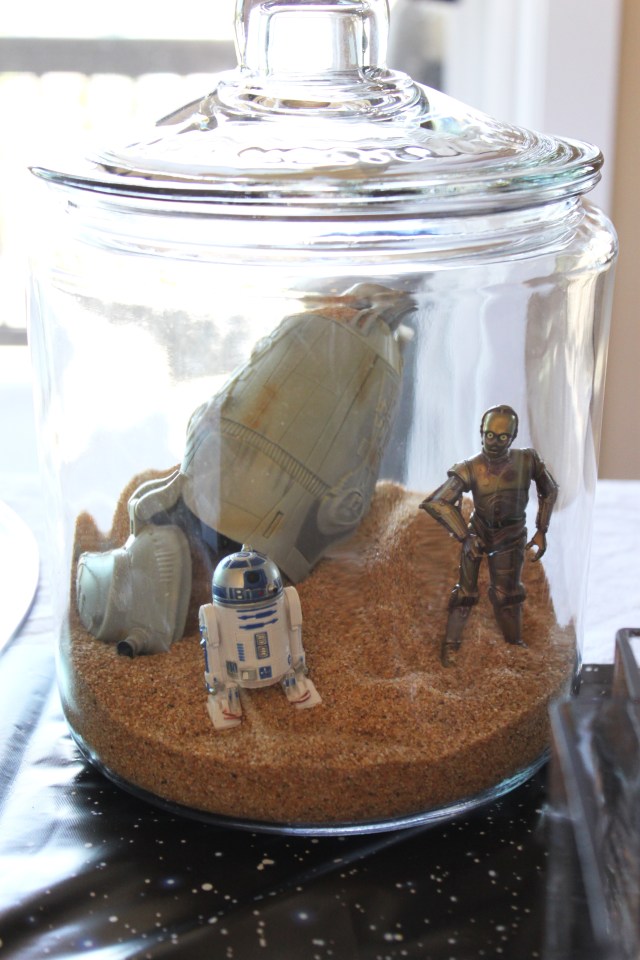 Vu's Star Wars Graduation Party (2)