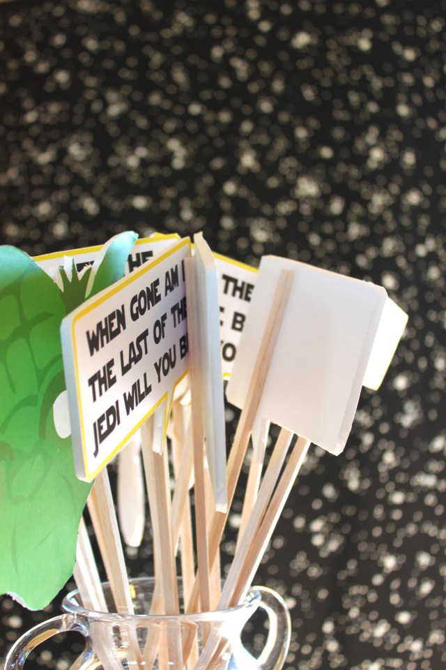 Vu's Star Wars Graduation Party (21)