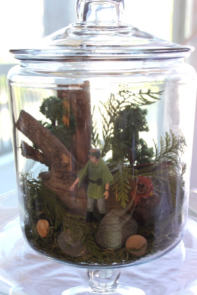 Vu's Star Wars Graduation Party (4)