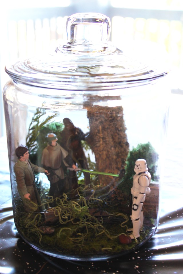 Vu's Star Wars Graduation Party (5)