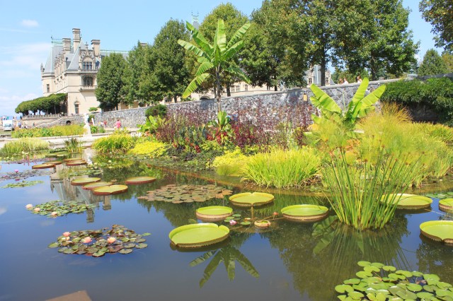 Norht Carolina Biltmore (10)