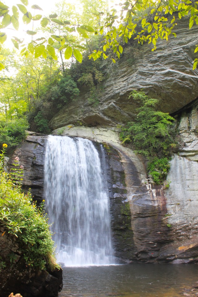 Norht Carolina Biltmore (18)