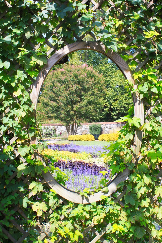 Norht Carolina Biltmore (5)