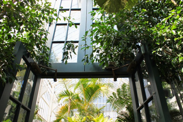 Norht Carolina Biltmore (9)