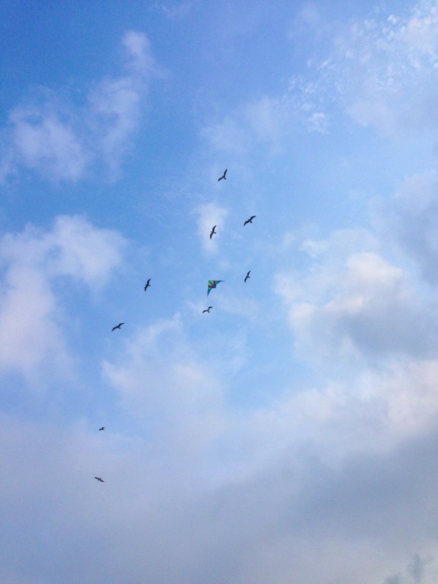 North Carolina Outer Banks (32)