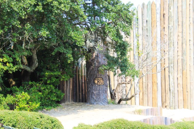 North Carolina Outer Banks (36)