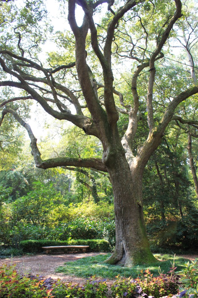 North Carolina Outer Banks (39)