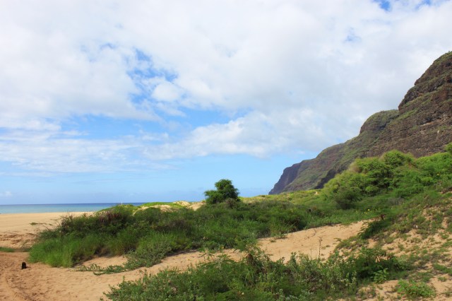 Kauai, Hawaii (3)