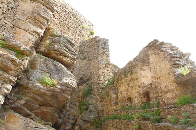 Day 14 Aggestine and Schonbruun (3)