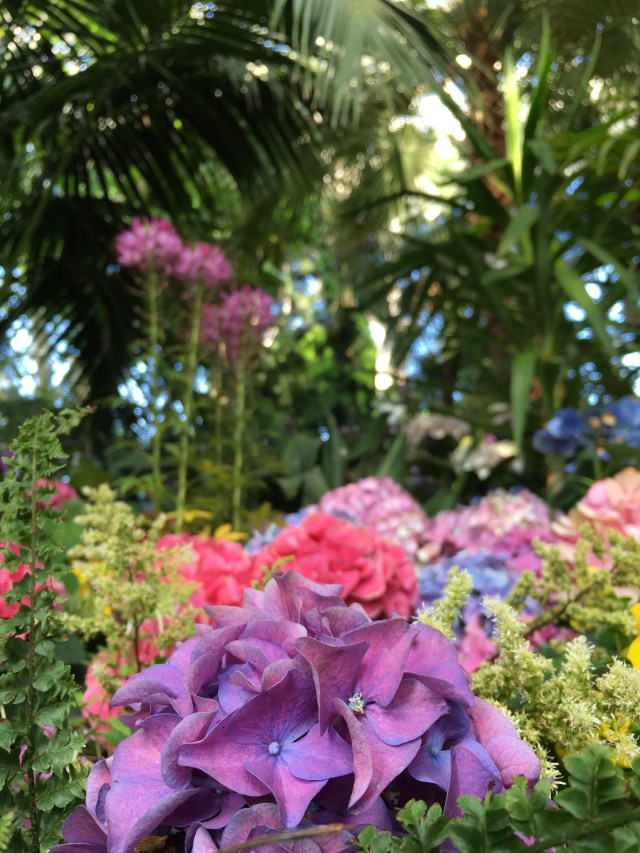 Day 14 Aggestine and Schonbruun (7)