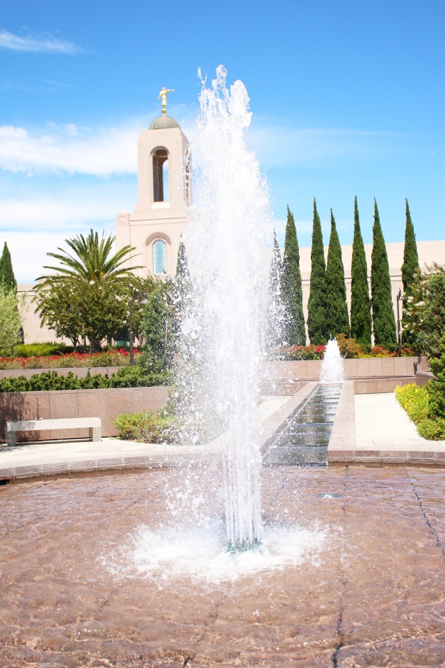 California Phamily Reunion (14)