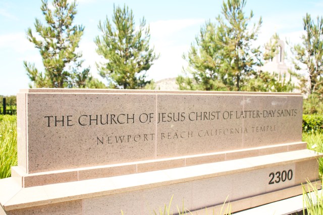 California Phamily Reunion (15)