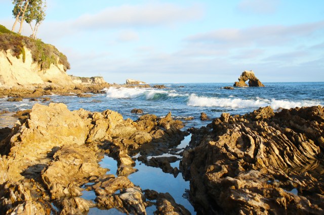 California Phamily Reunion (16)