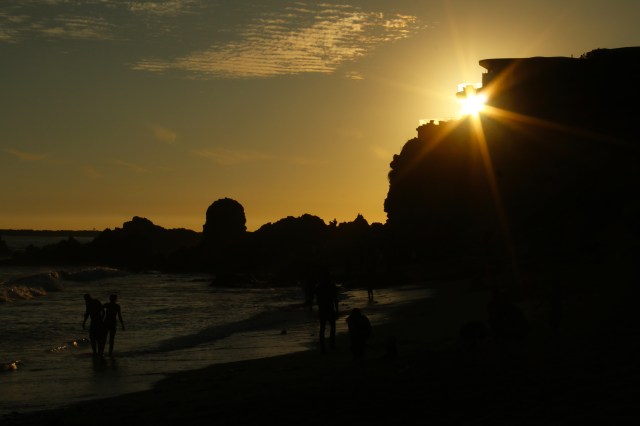 California Phamily Reunion (17)