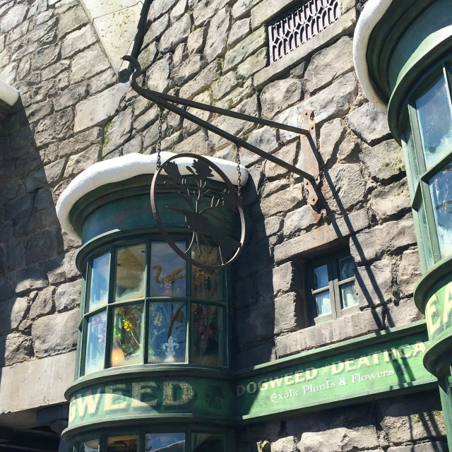 California Phamily Reunion (4)