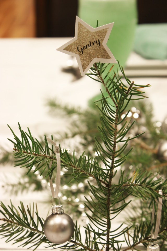 december-visiting-teaching-dinner-9